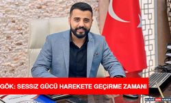 Gök: Sessiz Gücü Harekete Geçirme Zamanı