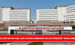 Elazığ’da 645 Kişi, Kar ve Buzlanmadan Dolayı Düşerek Yaralandı