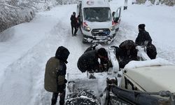 GÜNCELLEME - Çığ altında kalan kadın yaralı olarak kurtarıldı