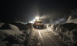 Hakkari'de kar nedeniyle yolda mahsur kalan 3 araçtaki 12 kişi kurtarıldı