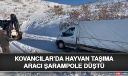 Kovancılar’da Hayvan Taşıma Aracı Şarampole Düştü