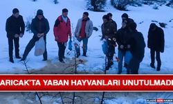 Arıcak'ta Yaban Hayvanları Unutulmadı