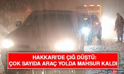 Hakkari'de Çığ Düştü: Çok Sayıda Araç Yolda Mahsur Kaldı