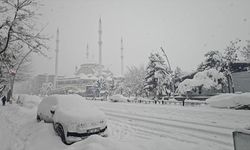 Muş'ta yoğun kar yağışı etkisini sürdürüyor
