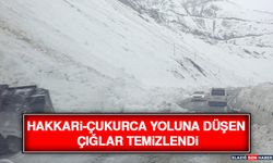Hakkari-Çukurca Yoluna Düşen Çığlar Temizlendi