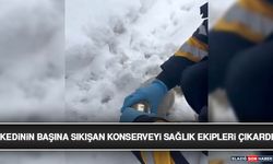 Kedinin Başına Sıkışan Konserveyi Sağlık Ekipleri Çıkardı
