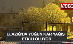 Elazığ’da Yoğun Kar Yağışı Etkili Oluyor