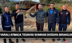Kumluca'da Yaralı Atmaca Tedavisi Sonrası Doğaya Bırakıldı