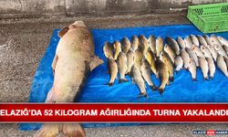 Elazığ’da 52 Kilogram Ağırlığında Turna Yakalandı