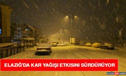 Elazığ'da Kar Yağışı Etkisini Sürdürüyor