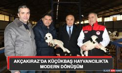 Akçakiraz’da Küçükbaş Hayvancılıkta Modern Dönüşüm