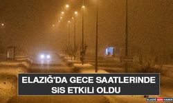 Elazığ'da Gece Saatlerinde Sis Etkili Oldu