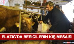 Elazığ'da Besicilerin Kış Mesaisi