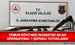 Temur Köyü’nde Ruhsatsız Silah Operasyonu: 1 Şüpheli Tutuklandı