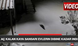 Aç Kalan Kaya Sansarı Evlerin Dibine Kadar İndi