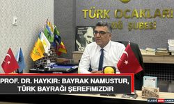 Prof. Dr. Haykır: Bayrak Namustur, Türk Bayrağı Şerefimizdir