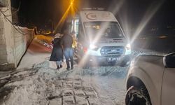 Van'da ulaşım sağlanamayan yerleşim yerlerindeki hastaların yardımına ekipler yetişti