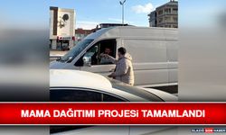 Mama Dağıtımı Projesi Tamamlandı