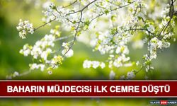 Baharın Müjdecisi İlk Cemre Düştü
