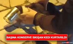 Başına Konserve Sıkışan Kedi Kurtarıldı