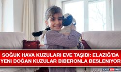 Soğuk Hava Kuzuları Eve Taşıdı: Elazığ’da Yeni Doğan Kuzular Biberonla Besleniyor