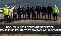 Doğu'nun Gizli Denizinde Şefkat Eli: Polis Ekipleri Martı ve Tavşanları Unutmadı