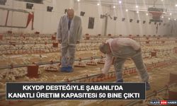 KKYDP Desteğiyle Şabanlı’da Kanatlı Üretim Kapasitesi 50 Bine Çıktı