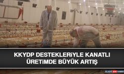 KKYDP Destekleriyle Kanatlı Üretimde Büyük Artış