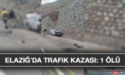 Elazığ’da Trafik Kazası: 1 Ölü