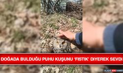 Doğada Bulduğu Puhu Kuşunu ‘Fıstık’ Diyerek Sevdi