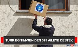 Türk Eğitim-Sen’den 525 Aileye Destek