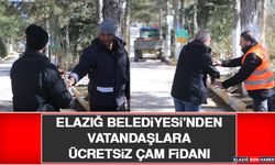 Elazığ Belediyesi'nden Vatandaşlara Ücretsiz Çam Fidanı