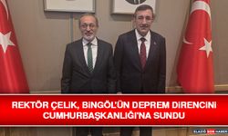 Rektör Çelik, Bingöl'ün Deprem Direncini Cumhurbaşkanlığı'na Sundu