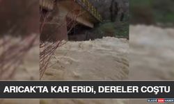 Arıcak'ta Kar Eridi, Dereler Coştu