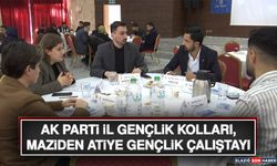 AK Parti İl Gençlik Kolları, Maziden Atiye Gençlik Çalıştayı