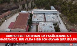 Cumhuriyet Tarihinin İlk Fakültesine Ait Hastanede, Bir Yılda 9 Bin 600 Hayvan Şifa Buldu