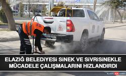Elazığ Belediyesi Sinek ve Sivrisinekle Mücadele Çalışmalarını Hızlandırdı