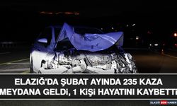 Elazığ'da Şubat Ayında 235 Kaza Meydana Geldi, 1 Kişi Hayatını Kaybetti