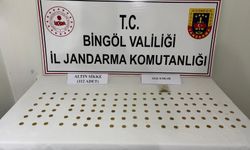 Bingöl'de 38 şüpheli yakalandı