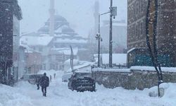 Karlıova'da kar yağışı yeniden etkili oldu