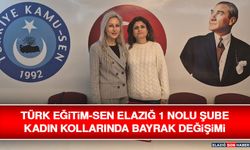 Türk Eğitim-Sen Elazığ 1 Nolu Şube Kadın Kollarında Bayrak Değişimi