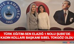 Türk Eğitim-Sen Elazığ 1 Nolu Şube’de Kadın Kolları Başkanı Sibel Tokgöz Oldu