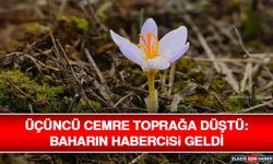 Üçüncü Cemre Toprağa Düştü: Baharın Habercisi Geldi