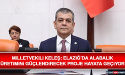 Milletvekili Keleş: Elazığ’da Alabalık Üretimini Güçlendirecek Proje Hayata Geçiyor