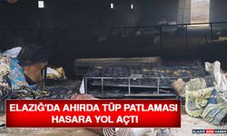 Elazığ'da Ahırda Tüp Patlaması Hasara Yol Açtı