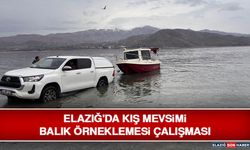 Elazığ'da Kış Mevsimi Balık Örneklemesi Çalışması
