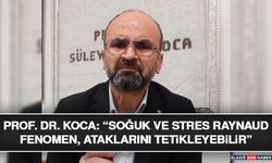 Prof. Dr. Koca: “Soğuk ve Stres Raynaud Fenomeni Ataklarını Tetikleyebilir”