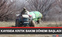 Kayısıda Kritik Bakım Dönemi Başladı