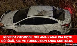 Iğdır'da Otomobil Sulama Kanalına Uçtu: Sürücü, Kızı ve Torunu Son Anda Kurtuldu