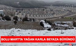 Bolu Martta Yağan Karla Beyaza Büründü